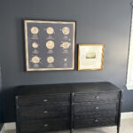 top notch movers small-169-169