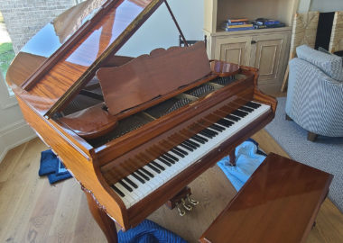 Small -20200910_125159