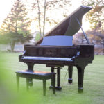 Small -small -7085
